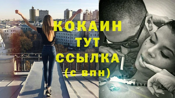прущие грибы Касимов