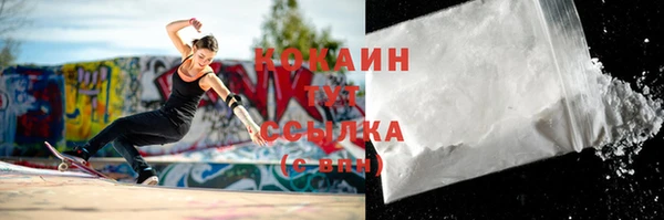 прущие крисы Каменка