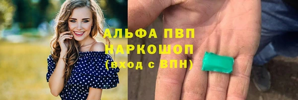 прущие грибы Касимов