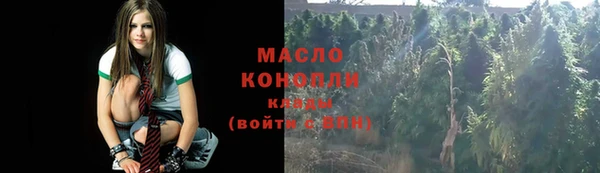 прущие крисы Каменка