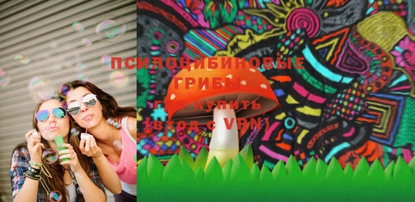 прущие крисы Каменка