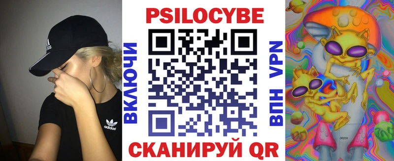 Галлюциногенные грибы Cubensis  Купить где  Заволжье 